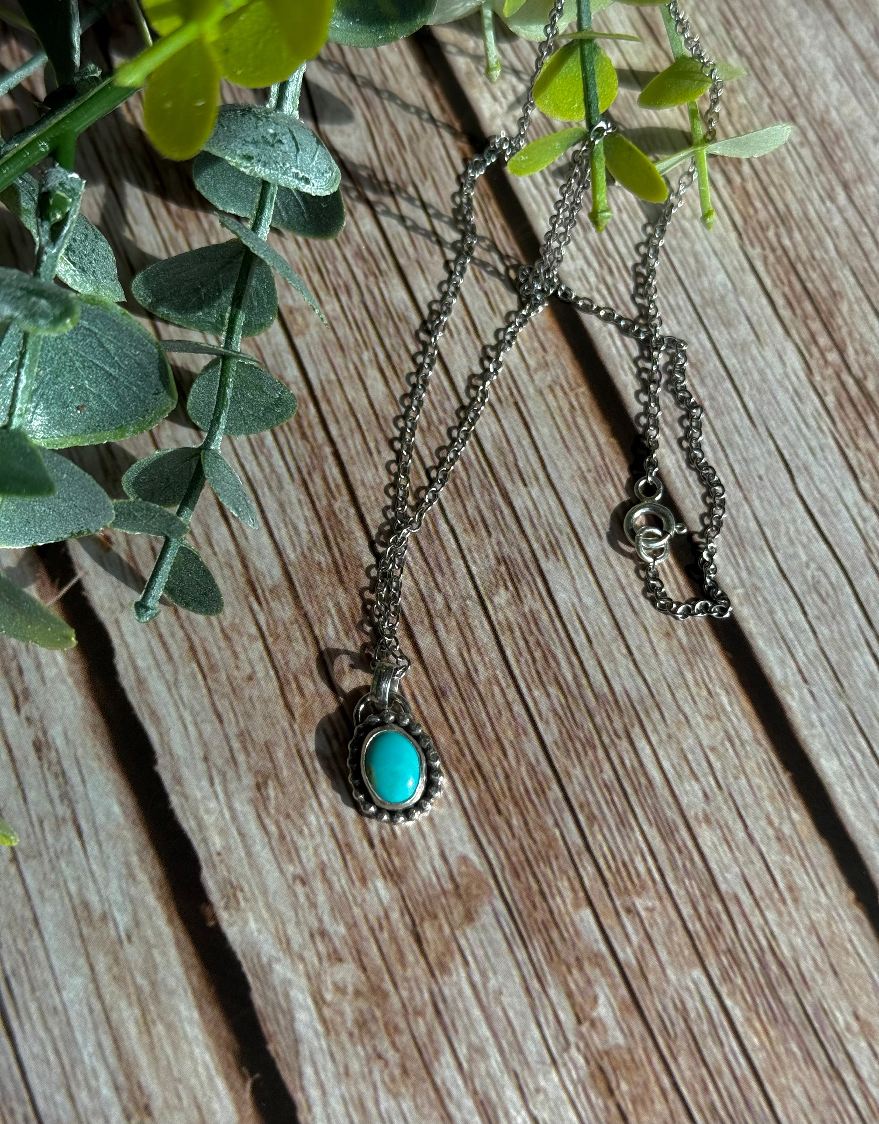 Dainty Sonoran Necklace 1