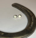 White Buffalo Earrings